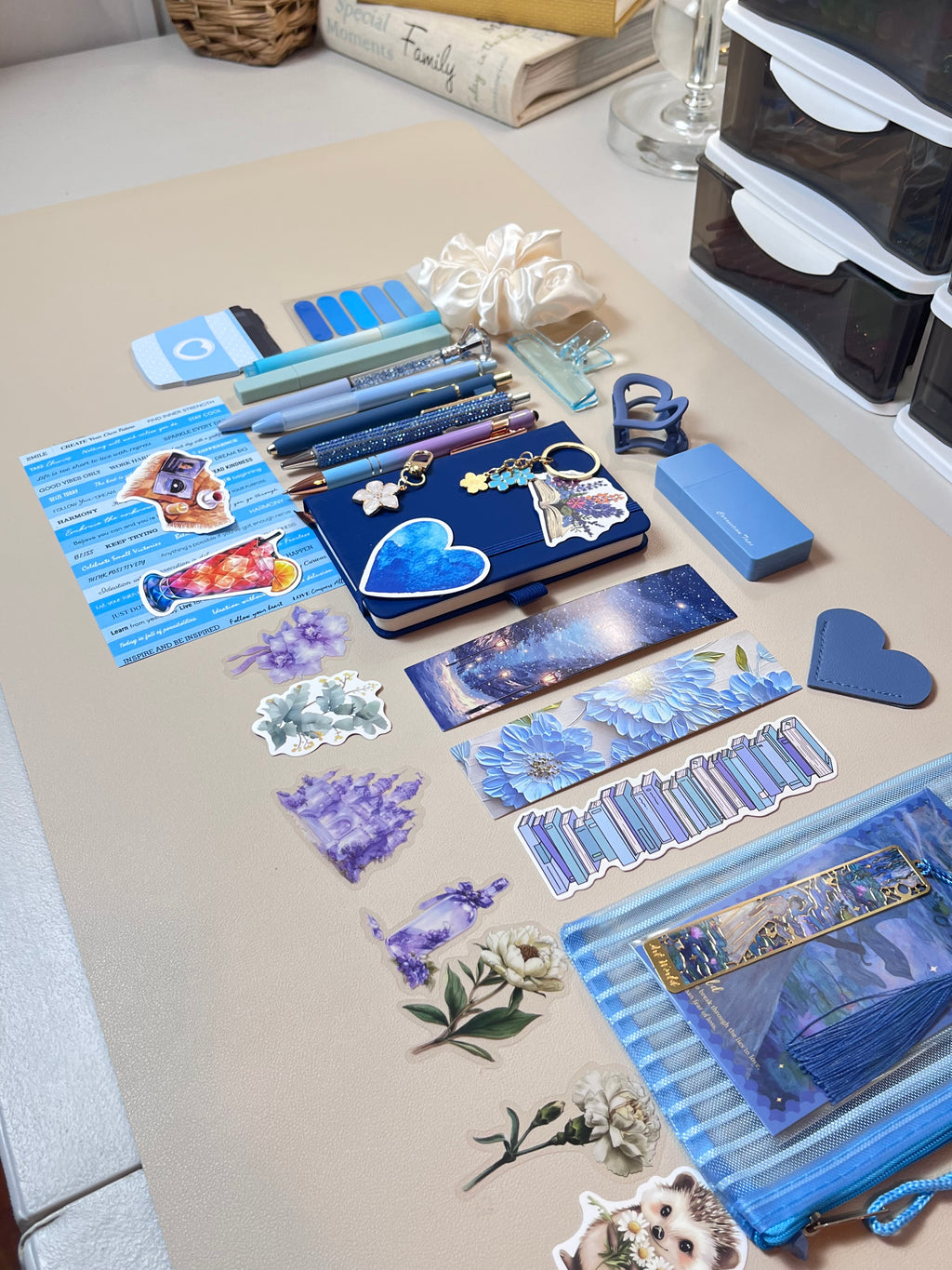 Bookish Bundle - Blue