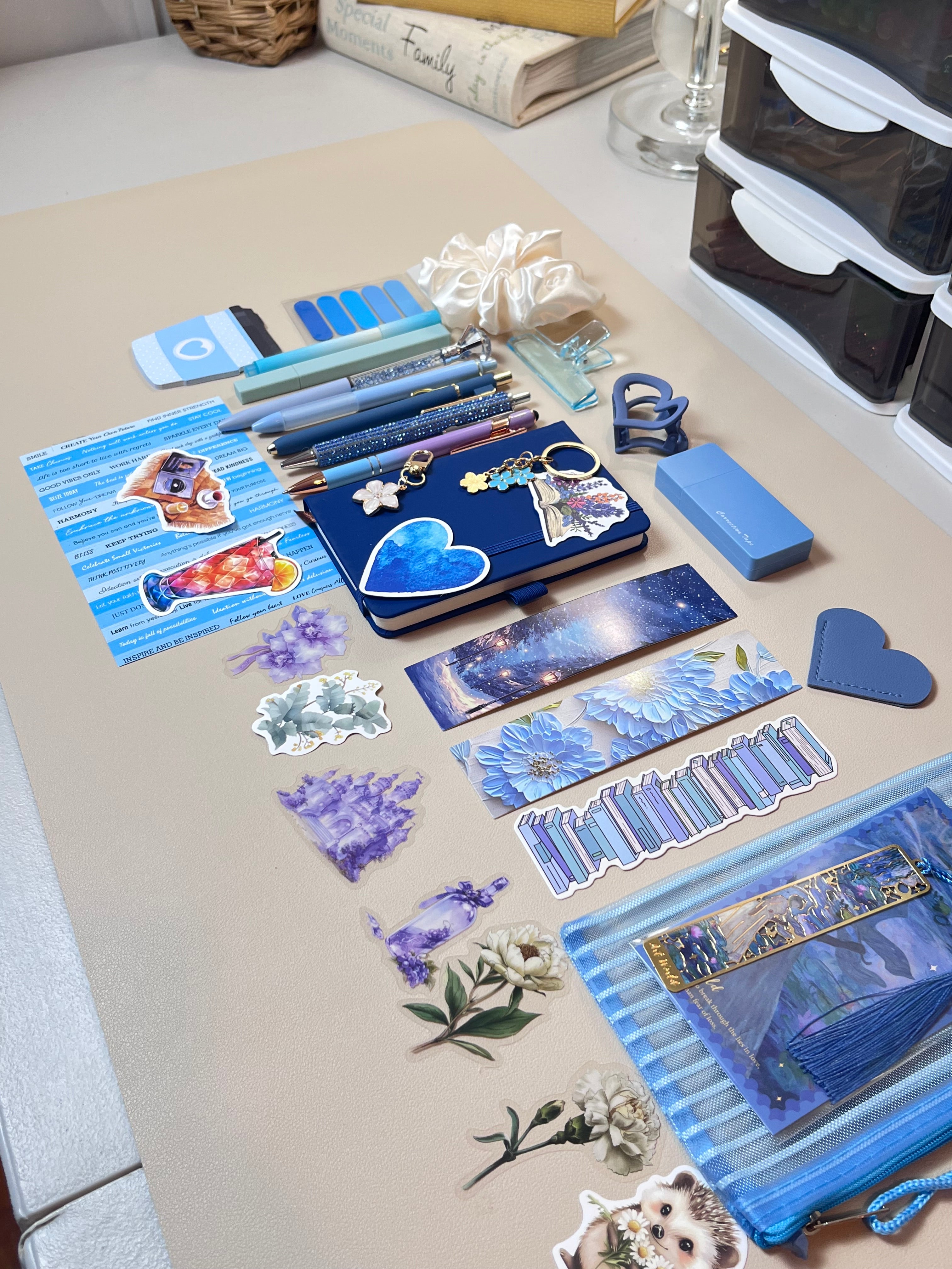 Bookish Bundle - Blue