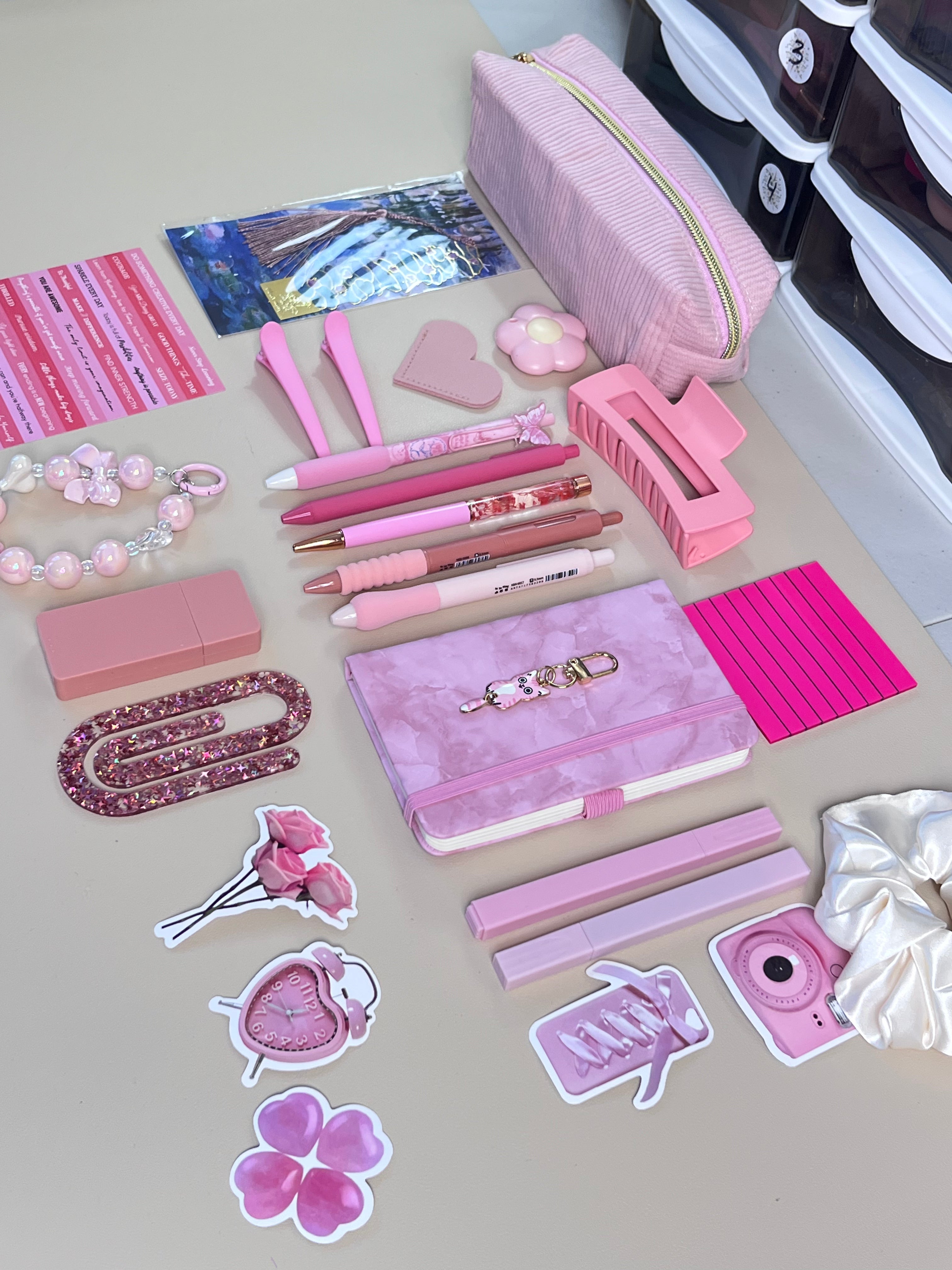 Bookish Bundle -Pink